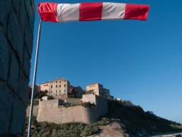Calvi81